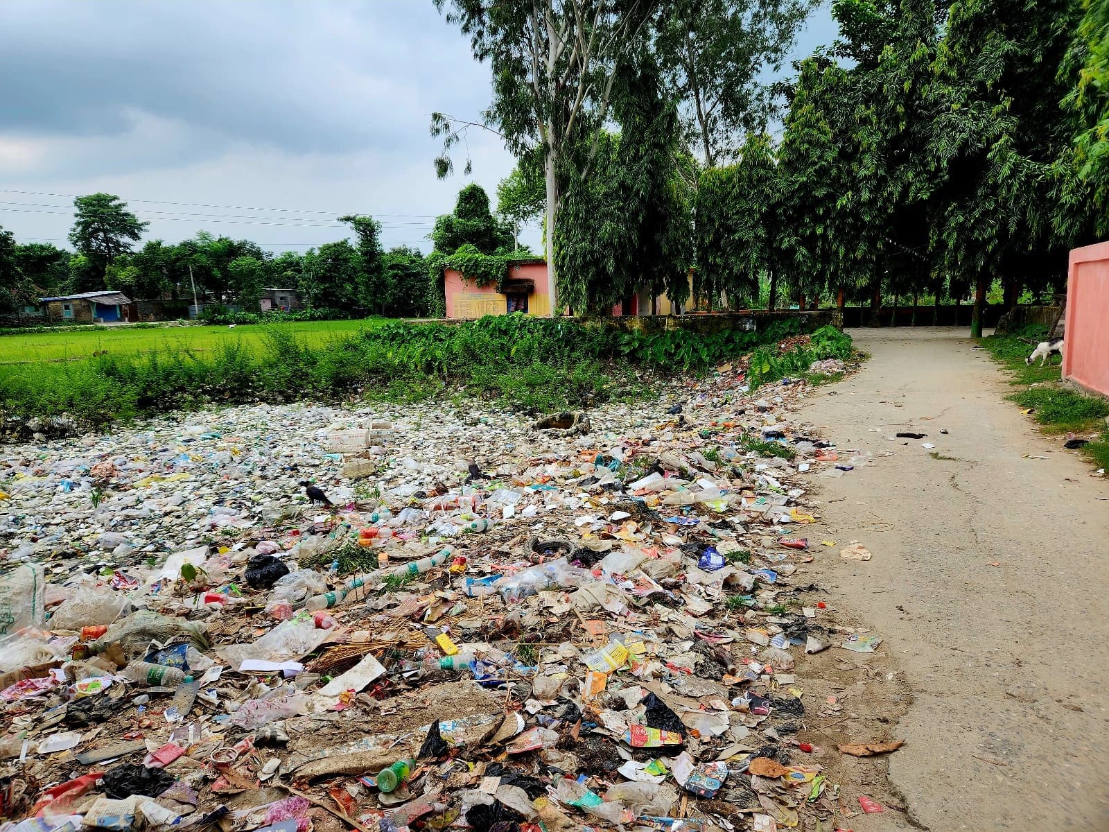 खारुदह पंचायत भवन परिसर के मुख्य द्वार पर कचरों का ढेर खोल रहा अपशिष्ट प्रबंधन योजना की पोल
