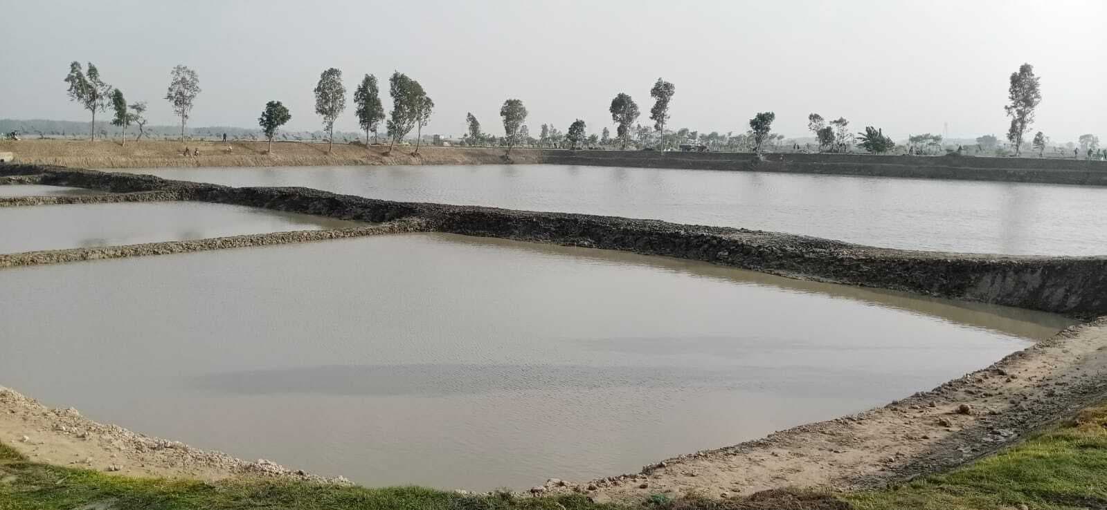 Amrit Sarovar Yojana:अररिया में अमृत सरोवर योजना का जलवा: 75 तालाबों का जीर्णोद्धार, 200 पौधे मुफ्त