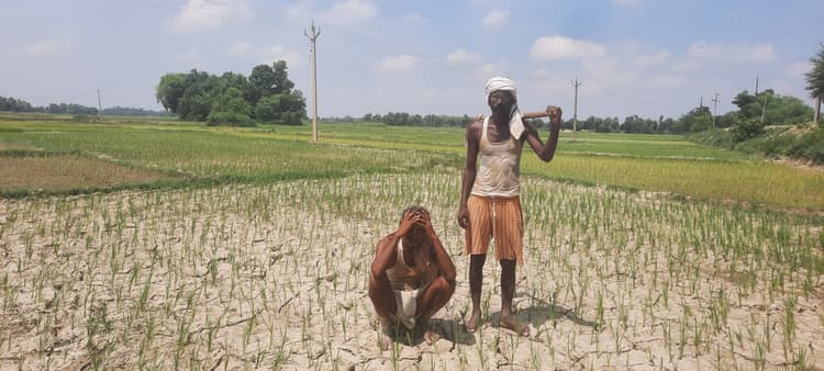 22 दिनों से आसमान से नहीं टपकी बूंद, किसानों की बढ़ती जा रही चिंता