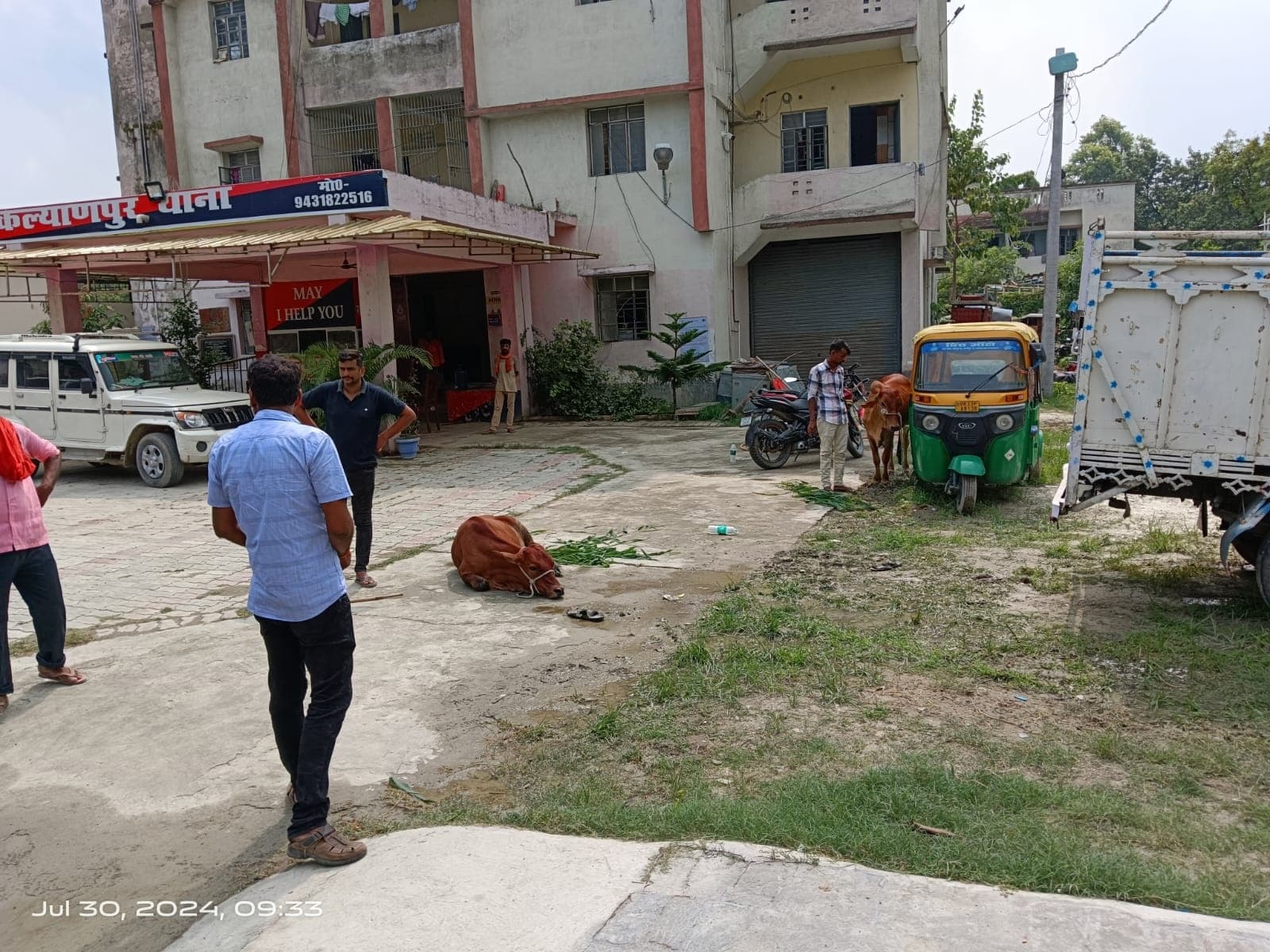 तस्करी को जा रहे पशु बरामद, पुलिस पर पथराव, दो तस्कर गिरफ्तार