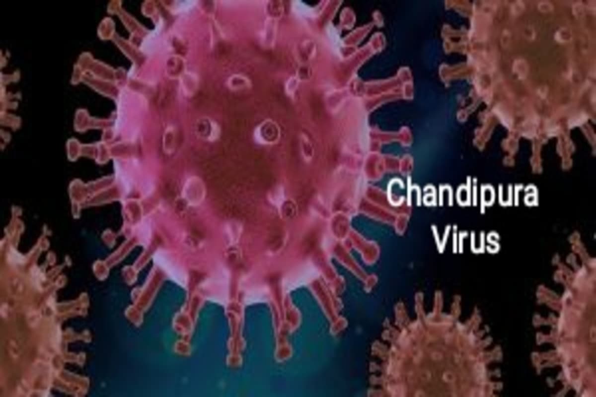 Gujarat Chandipura Virus : क्या है चांदीपुरा वायरस ? जानिए कैसे बनाता है बच्चों को अपना शिकार?