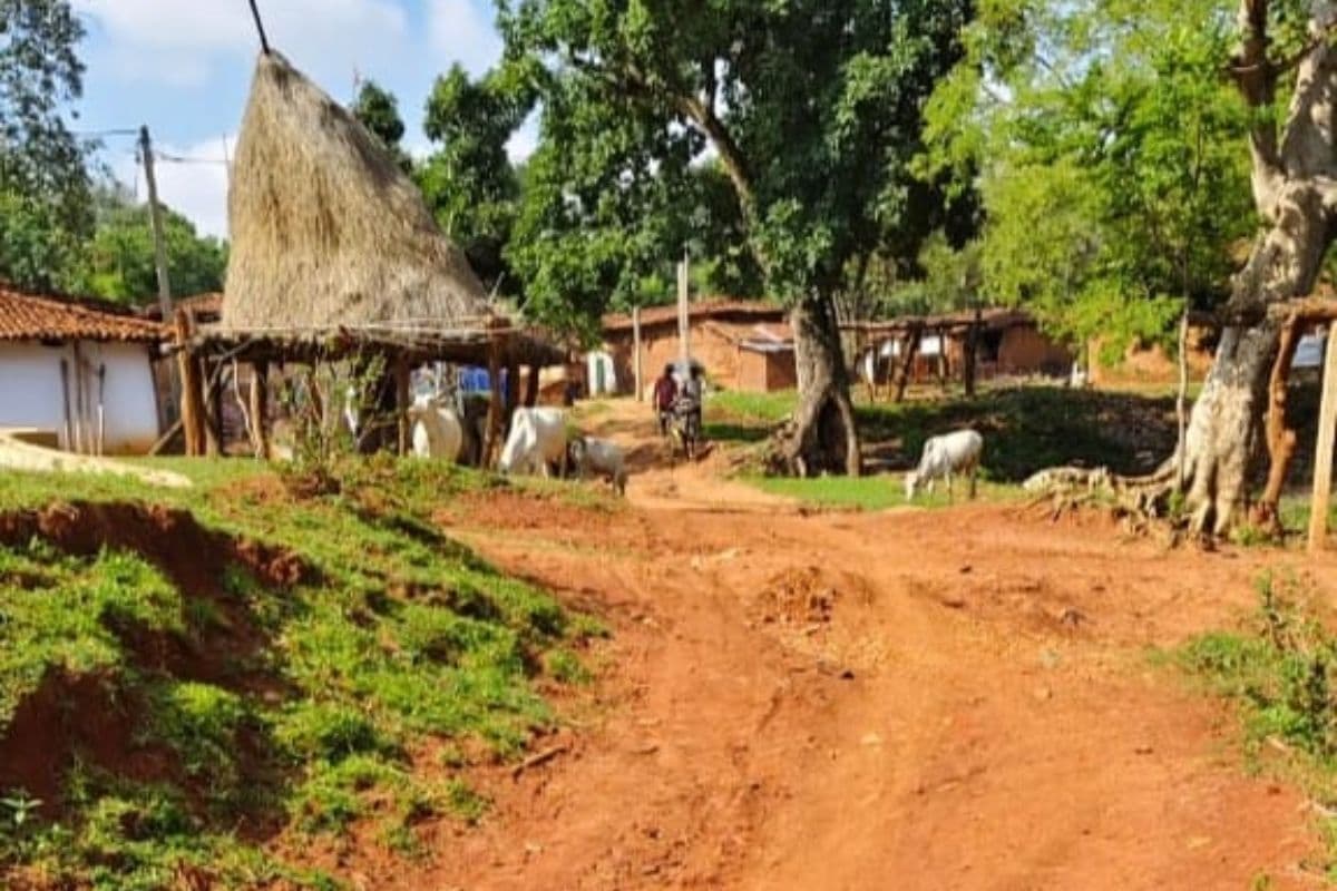 Jharkhand News: गुमला के पालकोट में करैत सांप काटने से एक ही परिवार के 3 लोगों की मौत, गांव में नहीं जला चूल्हा