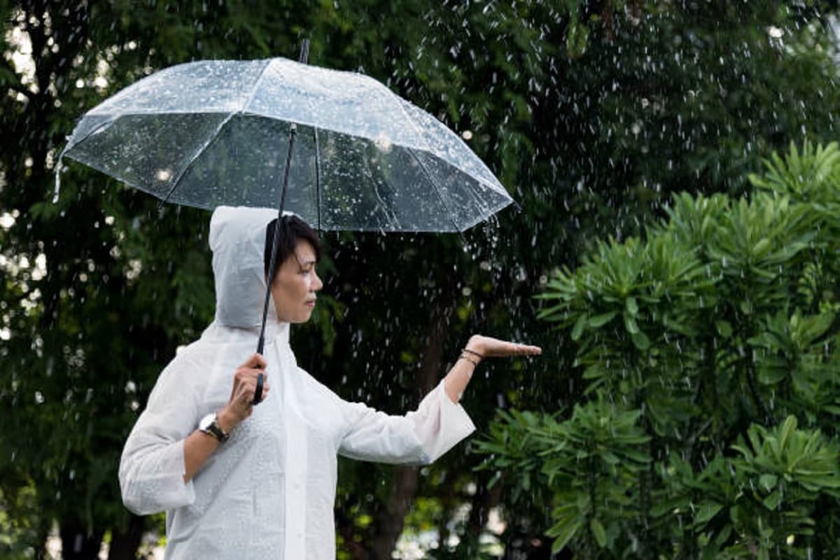 Monsoon Skin Care: बारिश के मौसम में अपनी स्किन का इस प्रकार रखें ध्यान, फॉलो करें ये टिप्स