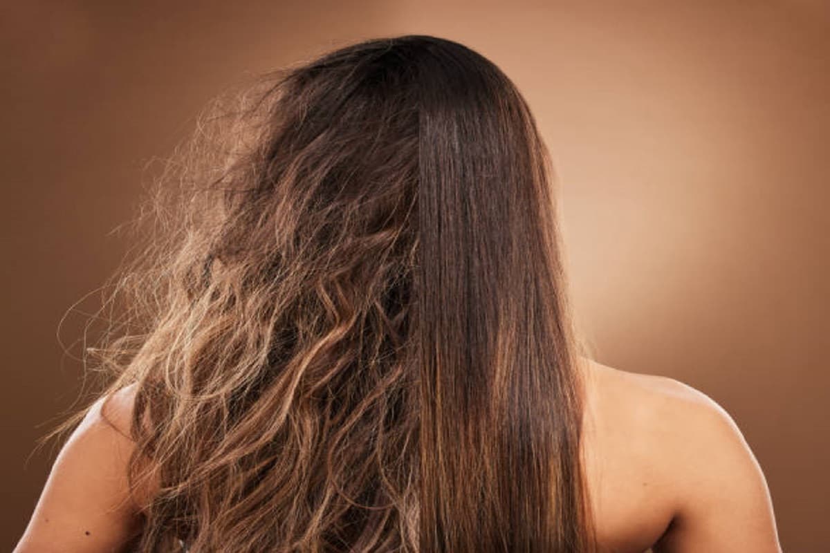 Monsoon Hair Care: बार-बार कंघी करने पर भी उलझते हैं बाल, जानिए क्या है उपाय