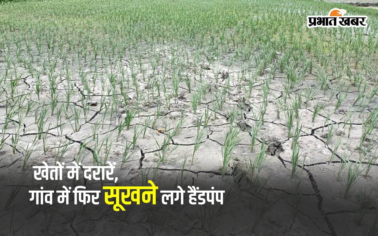 मुजफ्फरपुर में मानसून की बारिश न होने से जल संकट, 25 फुट तक नीचे पहुंच गया ग्रामीण क्षेत्र का भू-जल स्तर