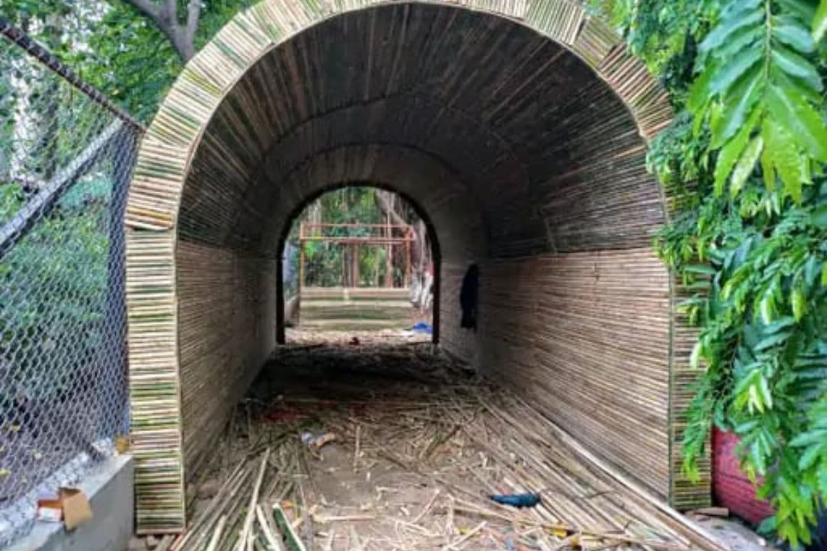 पटना में असम के 'मुरली बांस' से बनाई जा रही पहली ओपन नेचर लाइब्रेरी, हरियाणा से बुलाये गए कारीगर