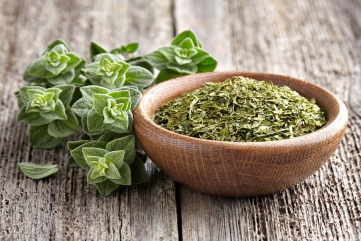 Oregano Benefits : ऑरेगानो के फायदे जान रह जाएंगे दंग . हृदय स्वास्थ्य के लिए भी होते हैं लाभकारी...
