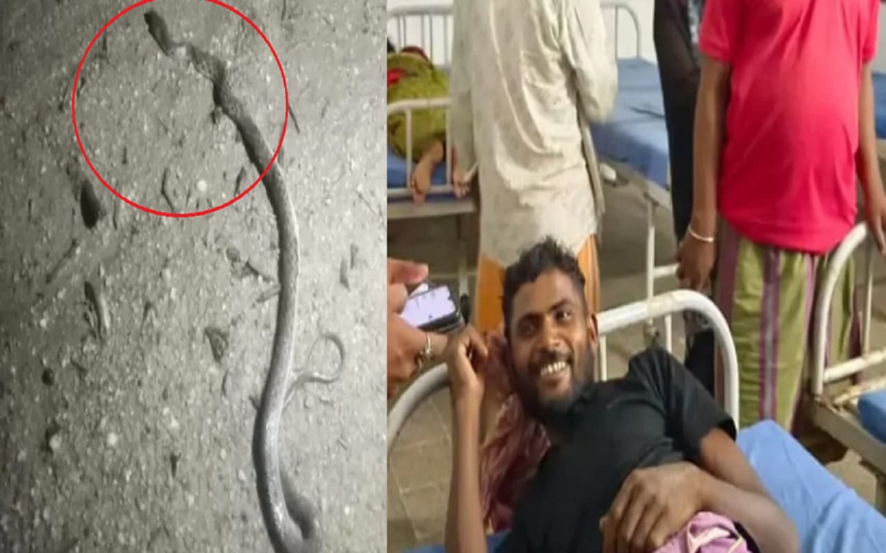 Snake News: बिहार में सांप और युवक ने एक दूसरे को काटा तो सांप की मौत क्यों हो गयी? जानिए...