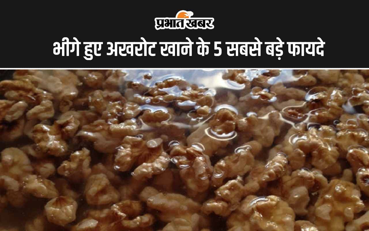Soaked Walnuts Benefits: भीगे हुए अखरोट खाने के ये हैं 5 सबसे बड़े फायदे
