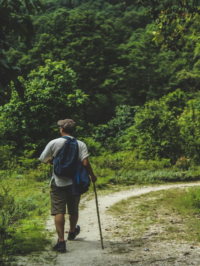 Best Monsoon Trek In India : एडवेंचर के हैं शौकीन, तो मानसून में कर सकते हैं यहां की ट्रैकिंग