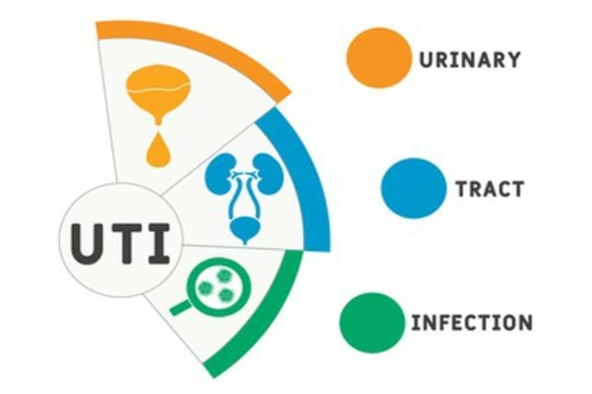 Urinary Tract Infection in Women : महीलाओं में क्यों कॉमन होता है यूटीआई ?
