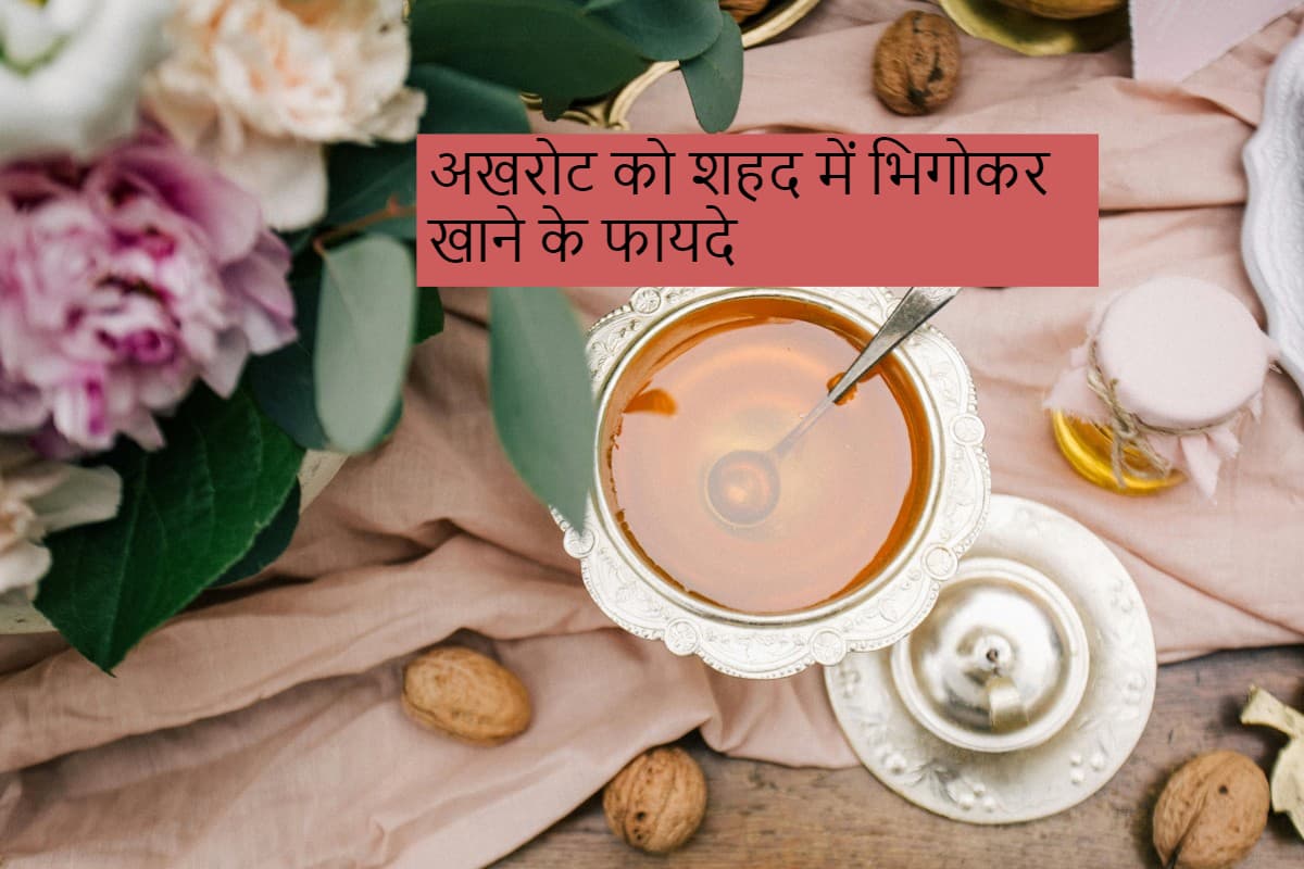 Walnut and Honey Benefits: अखरोट को शहद में भिगोकर खाने के चार सबसे बड़े फायदे