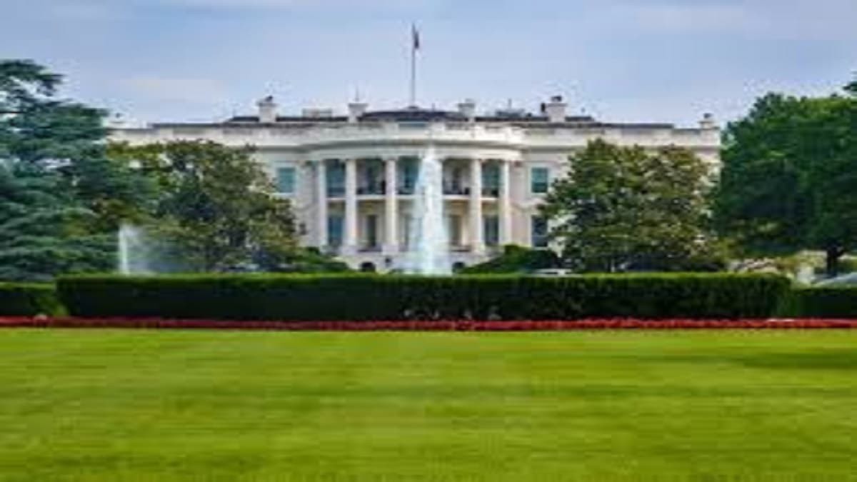 World News : US Presidential Election : ट्रंप-हैरिस ही नहीं, व्हाइट हाउस के लिए ये भी लगा रहे हैं दौड़