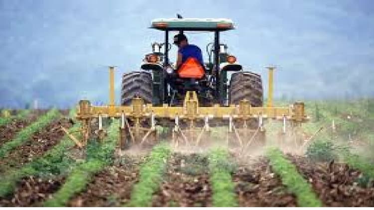 Bihar Weather: मॉनसून हुआ मेहरबान, तो जिले में लक्ष्य के करीब पहुंची खरीफ फसल की खेती