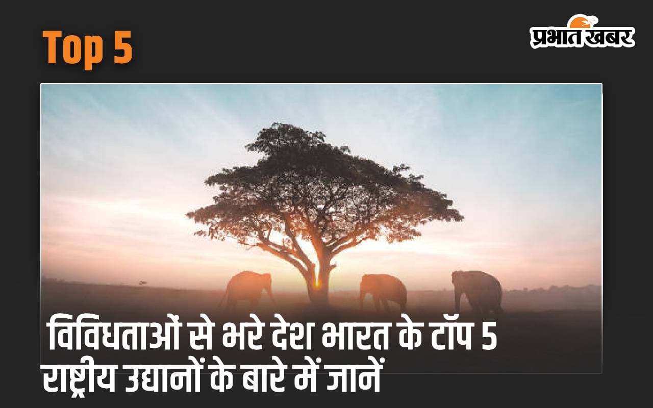 Top 5: विविधताओं से भरे देश भारत के टॉप 5 राष्ट्रीय उद्यानों के बारे में जानें