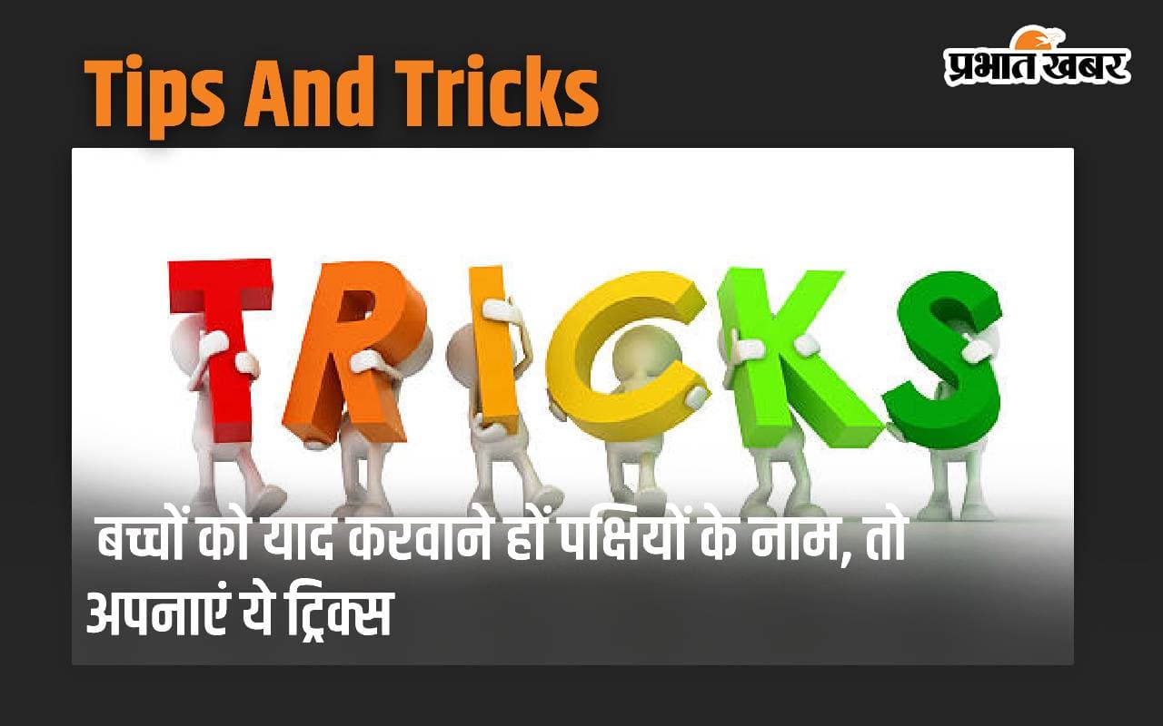 Tips And Tricks: बच्चों को याद करवाने हों पक्षियों के नाम, तो अपनाएं ये ट्रिक्स