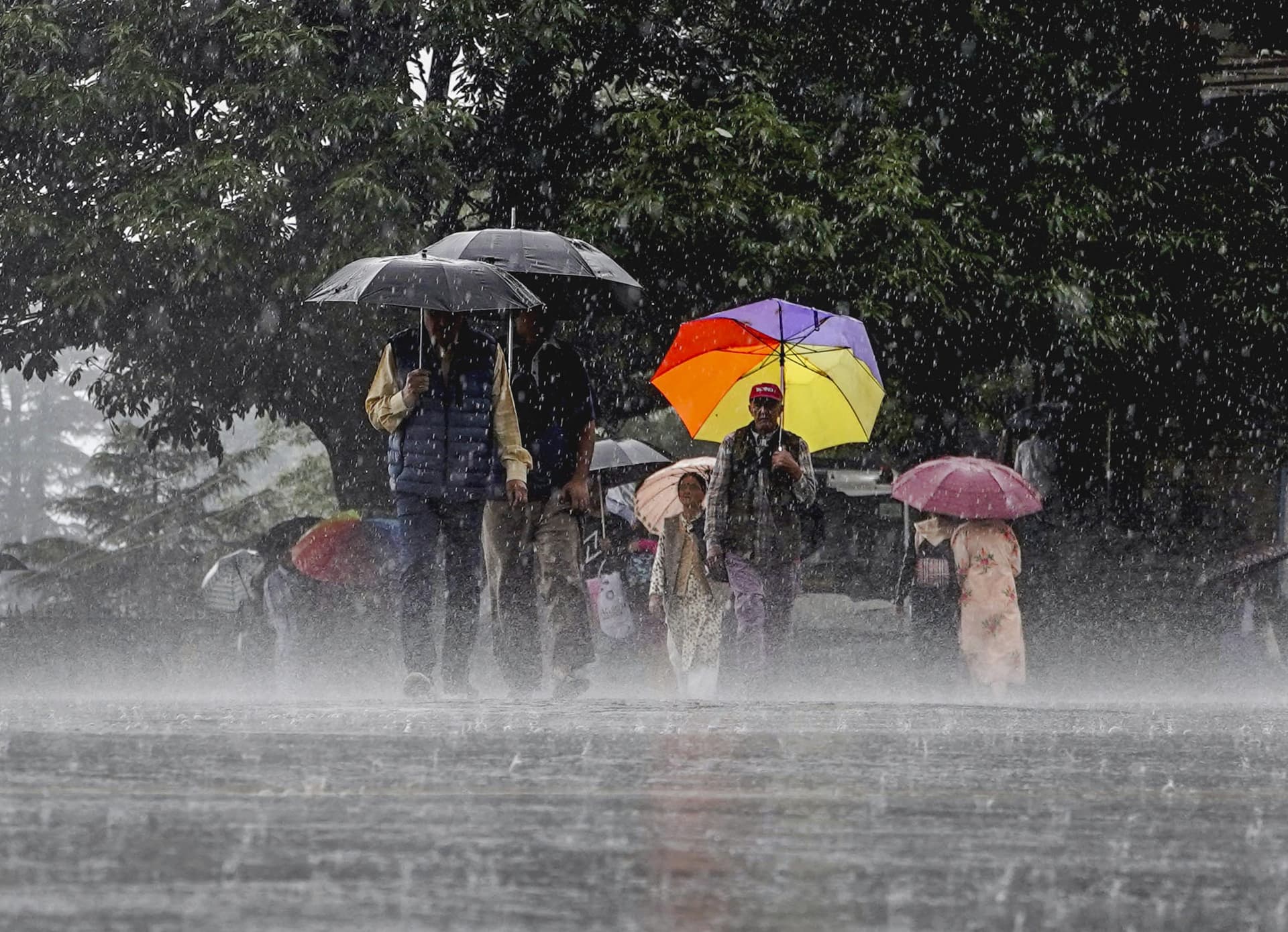 Rain Alert: UP में 7 दिनों तक बारिश का अलर्ट, 30 से ज्यादा जिलों में गरज-चमक के साथ तेज हवा की चेतावनी