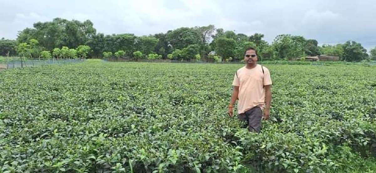 Purnia news : अब पूर्णिया के चाय की चुस्की से होगी सुबह की शुरुआत