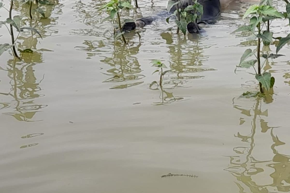 जमशेदपुर के चांडिल डैम से मिला ट्रेनी पायलट का शव, अब भी जारी है लापता विमान की खोजबीन