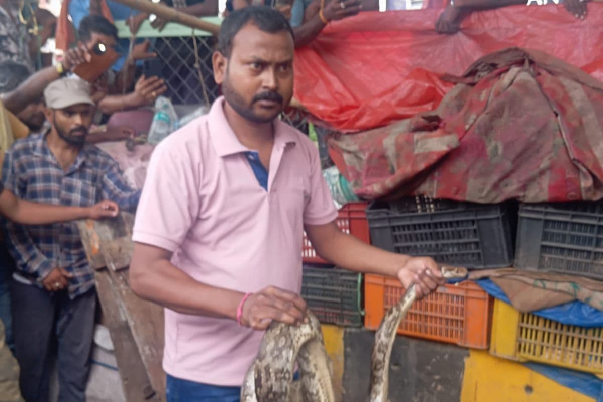 जमशेदपुर: गले में अजगर लटकाकर बन रहा था खतरों का खिलाड़ी, सांप ने जकड़ा तो निकल गई जान