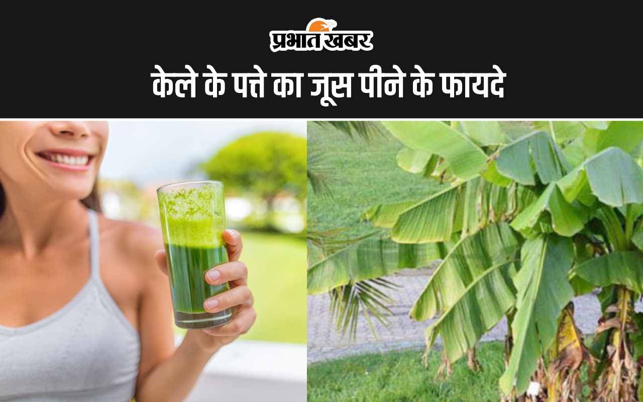 Banana Leaves juice Benefits: केले के पत्ते का जूस पीने के ये हैं पांच सबसे अद्भुत फायदे