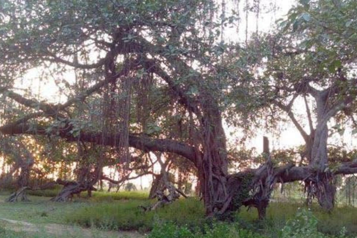 Raksha Bandhan 2024: रक्षाबंधन के दिन घूमने के लिए खास है बिहार का यह मंदिर