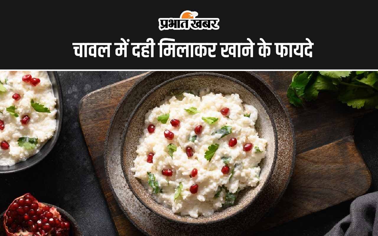 Curd With Rice Benefits: चावल में दही मिलाकर खाने के ये हैं 5 सबसे बड़े और अद्भुत फायदे