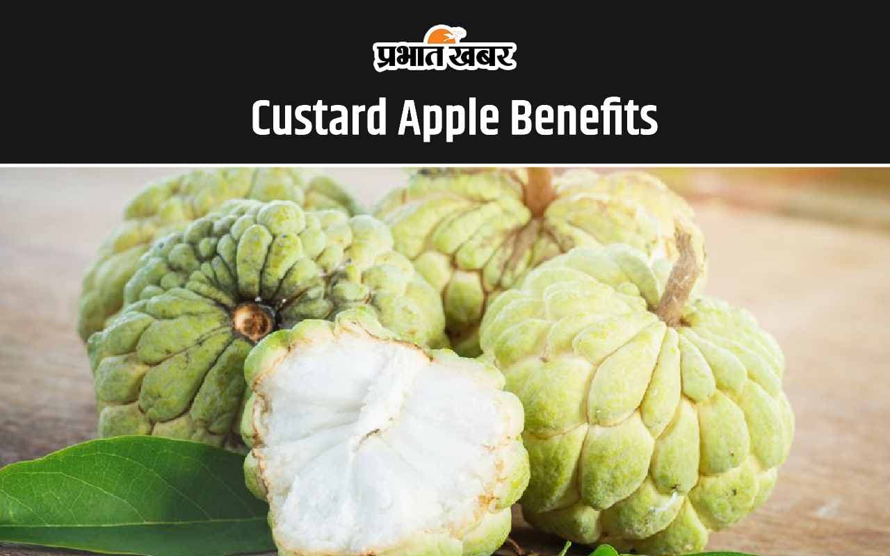 Custard Apple Benefits: शरीफा खाने के ये हैं 5 सबसे अद्भुत फायदे