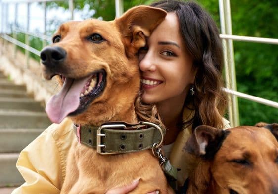 National Dog Day 2024: 26 अगस्त को मनाया जाता है नेशनल डॉग डे, क्या है वजह, जानें हर सवाल का जबाब