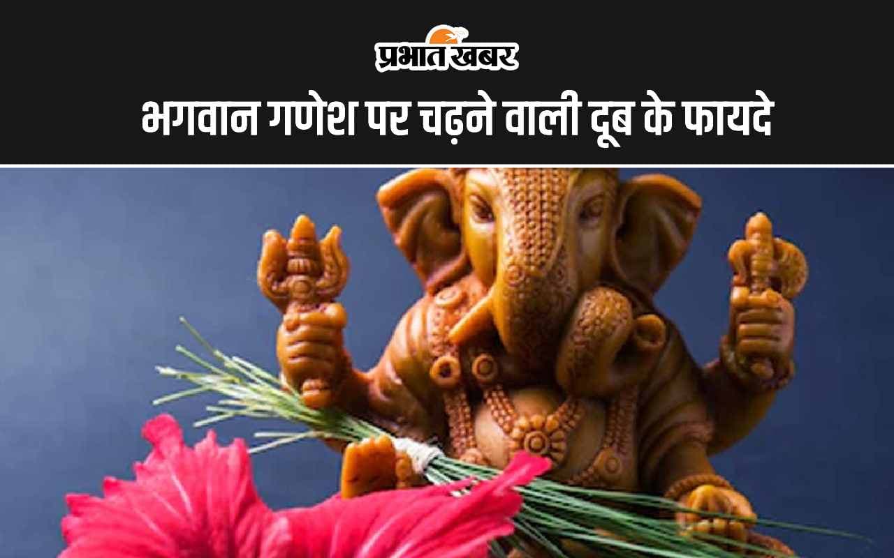 Doob Grass Benefits: भगवान गणेश पर चढ़ने वाली दूब के ये हैं 5 अद्भुत फायदे