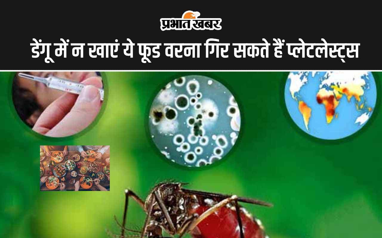Foods to Avoid in Dengue: डेंगू बुखार में क्या खाने से प्लेटलेट्स गिरती है? जानिए डेंगू में कौन सी फूड खाने से अवॉइड करना चाहिए