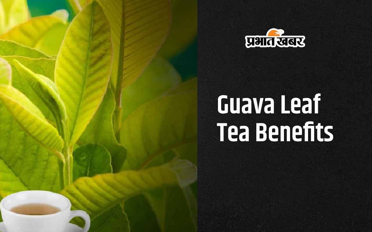 Guava Leaf Tea Benefits: अमरूद के पत्ते की चाय पीने से क्या होता हैं? जाने इसके फायदे 