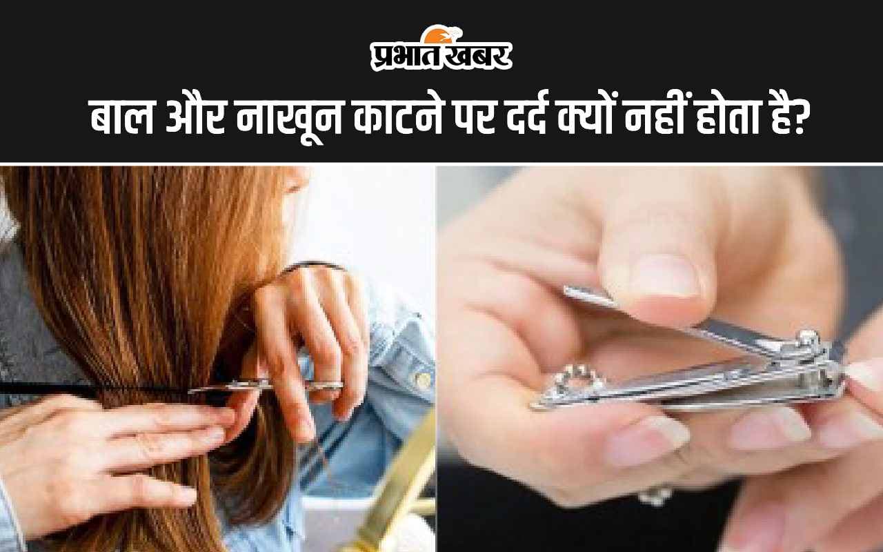 Hair-Nail Cutting: बाल और नाखून काटने पर दर्द क्यों नहीं होता है?