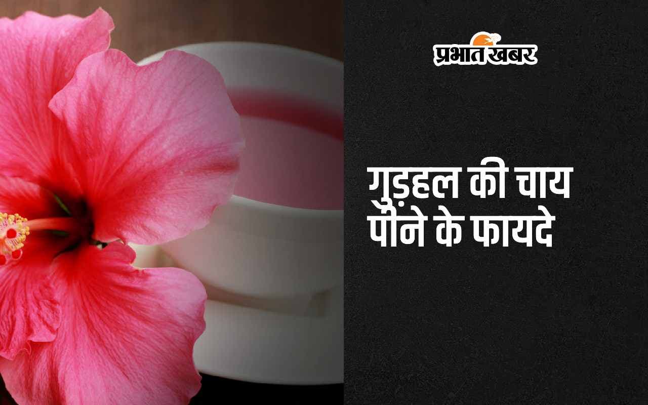 Hibiscus Tea Benefits: गुड़हल की चाय पीने के पांच सबसे बड़े फायदे