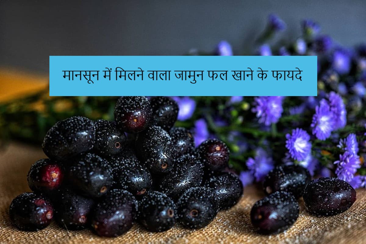 Jamun Fruit: मानसून में मिलने वाला जामुन फल खाने के ये हैं गजब के फायदे