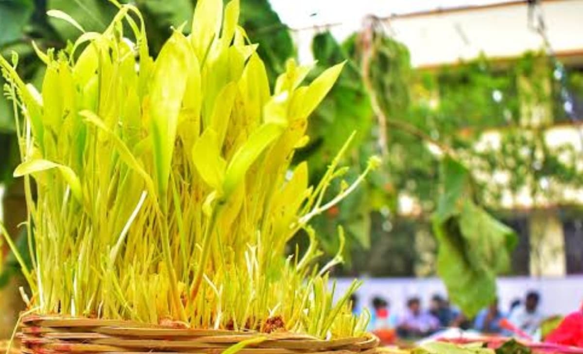 Karma Puja 2024: झारखंड सहित इन राज्यों में भी होती है करमा पूजा की धूम