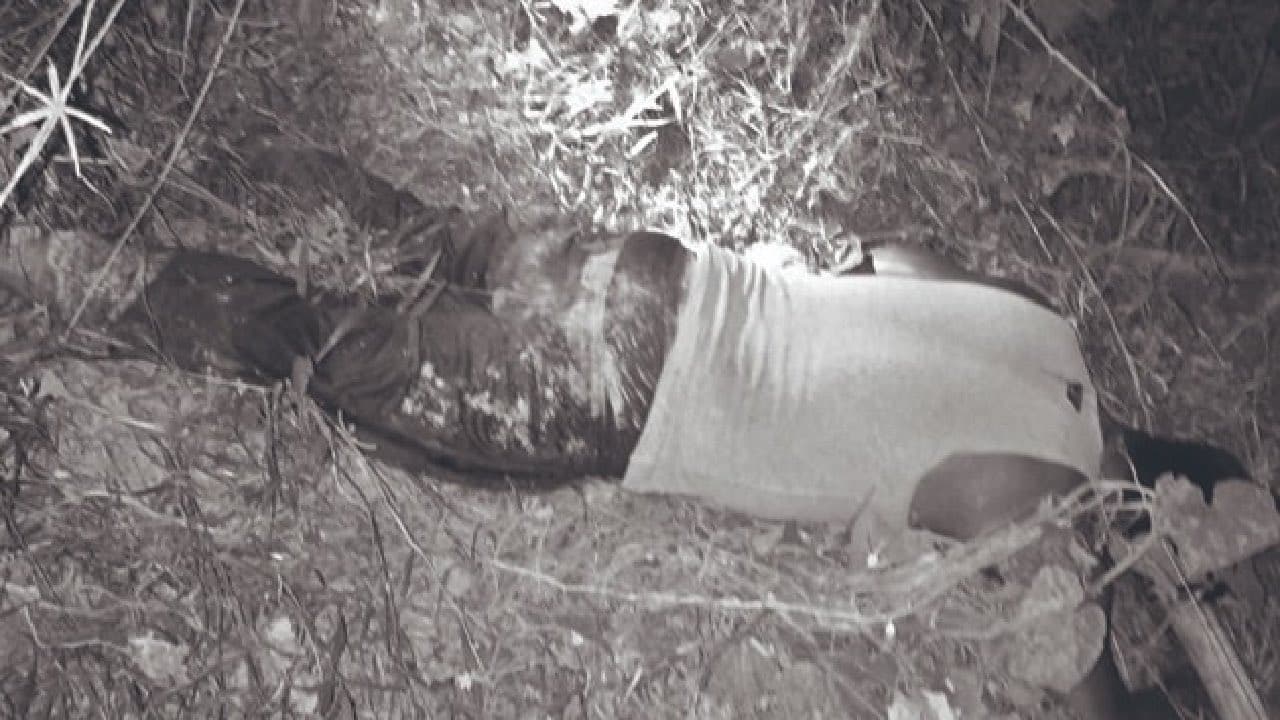 Bihar News: पूर्णिया में ITBP के जवान का शव हुआ बरामद, पुलिस ने हत्या की आशंका जतायी