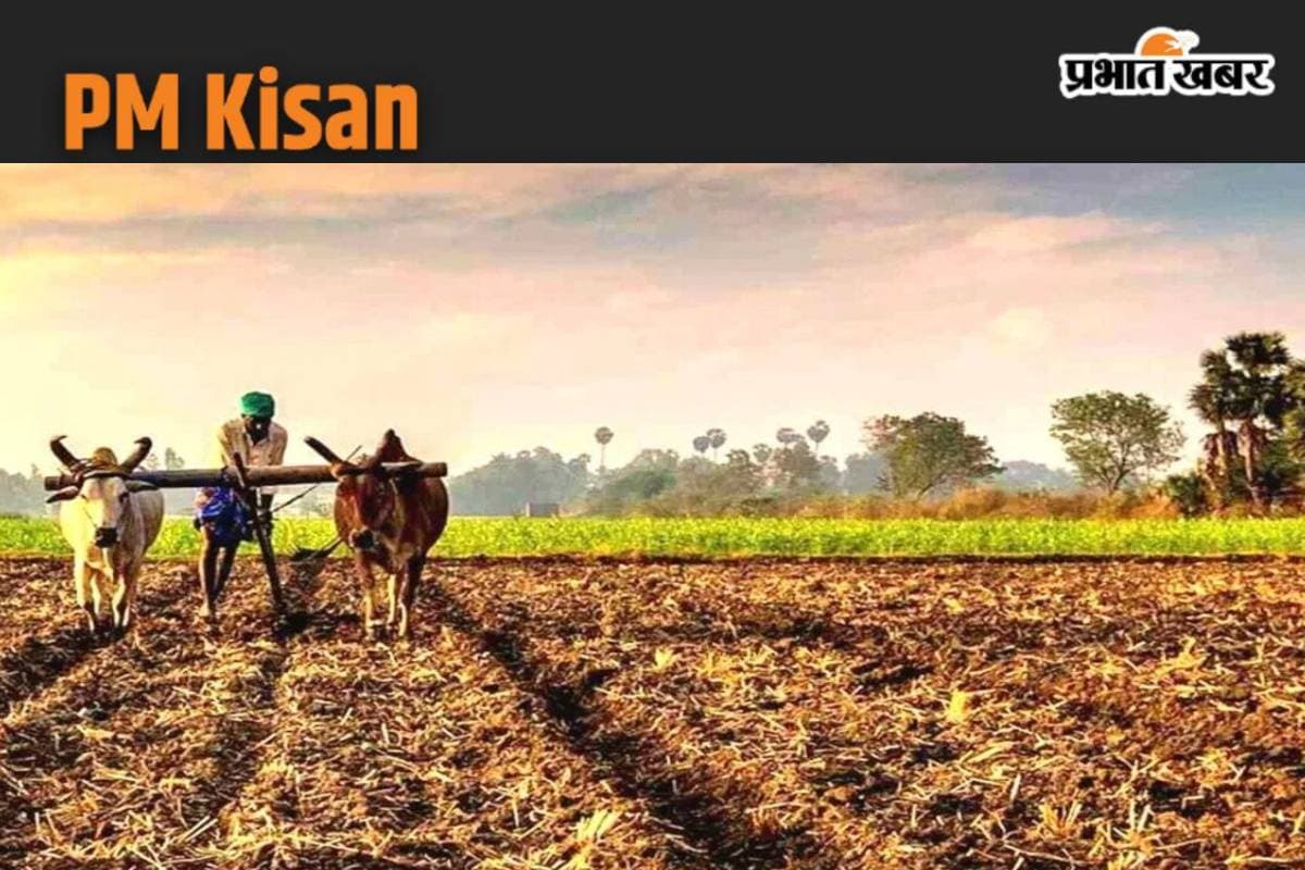 PM Kisan 18th Installment: 10 लाख किसानों के खाते में नहीं आएगी 18वीं किस्त! एक्शन में मोदी सरकार