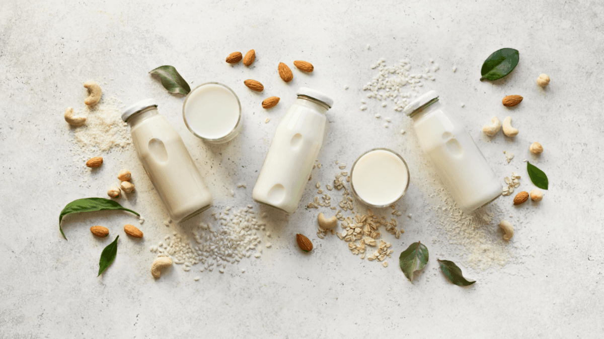 World Plant Milk Day 2024: 22 अगस्त को मनाया जाता है वर्ल्ड प्लांट मिल्क डे, क्या है खास वजह, जानिए हर सवाल का जबाब