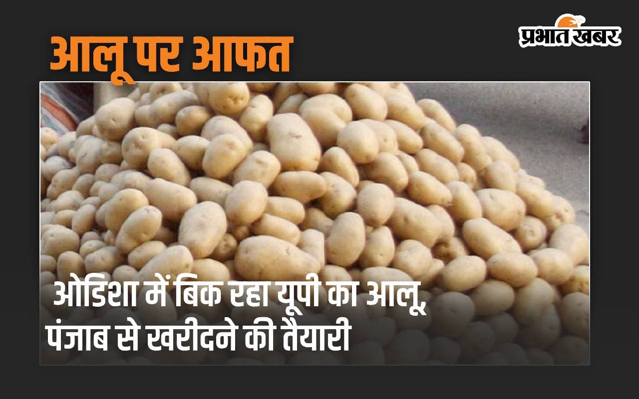 ओडिशा में बिक रहा यूपी का आलू, पंजाब से खरीदने की तैयारी