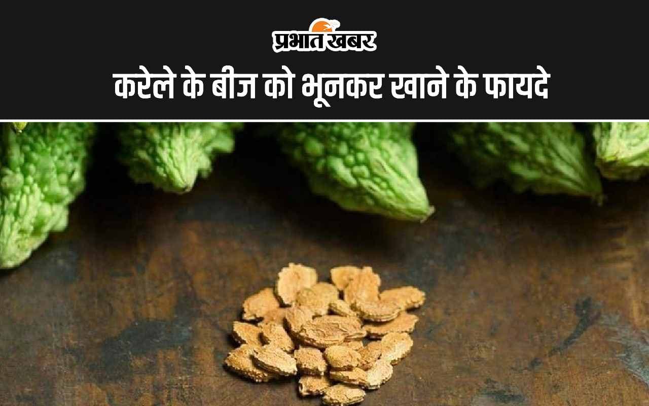 Roasted Bitter Gourd Seeds: करेले के बीज को भूनकर खाने के फायदा जानिए