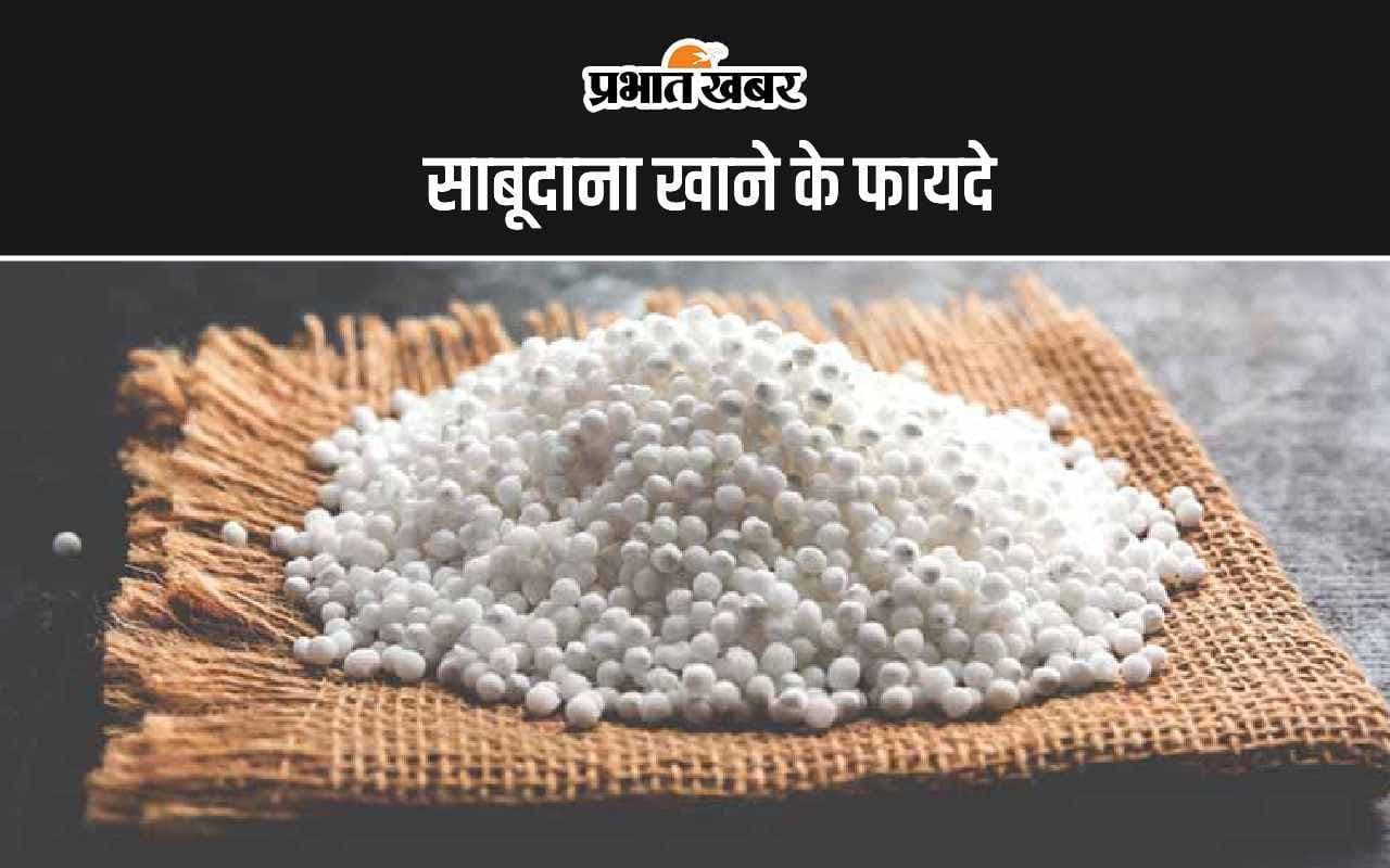 Sabudana Benefits: साबूदाना खाने फायदे जान हो जाएंगे हैरान