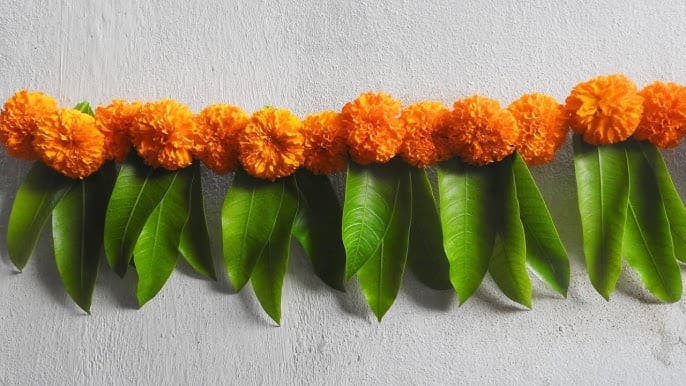 Janmashtami Special Toran: इस जन्माष्टमी मंदीर के गेट पर लगाएं आम के पत्तों से बनी बंधनवार, जानें लगाने का खास महत्व