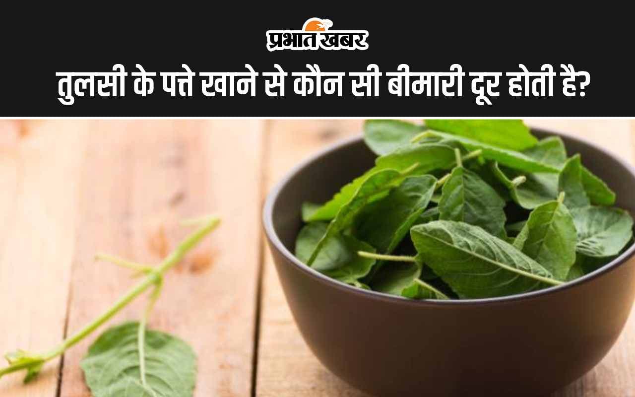 Tulsi Leaves Benefits: तुलसी के पत्ते खाने से कौन सी बीमारी दूर होती है?