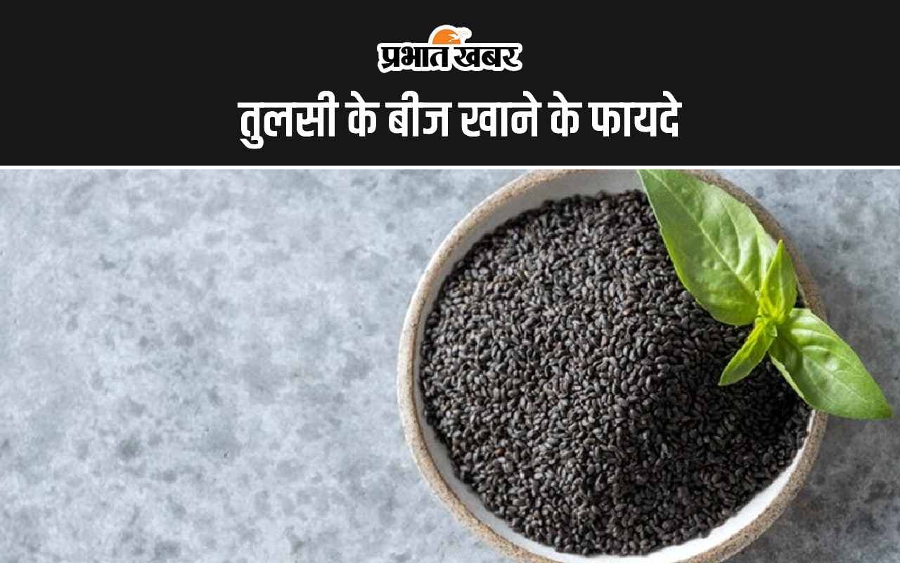 Tulsi Seeds Benefits: तुलसी के बीज को खाने के 5 सबसे अद्भुत फायदे