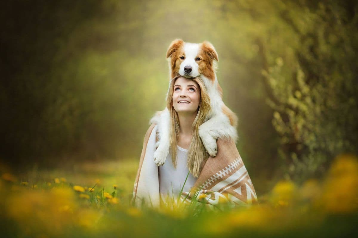 Videos Viral: कुत्ते को लगा मालकिन होने वाली है बेहोश, फिर किया ऐसा काम, वीडियो हुआ वायरल 