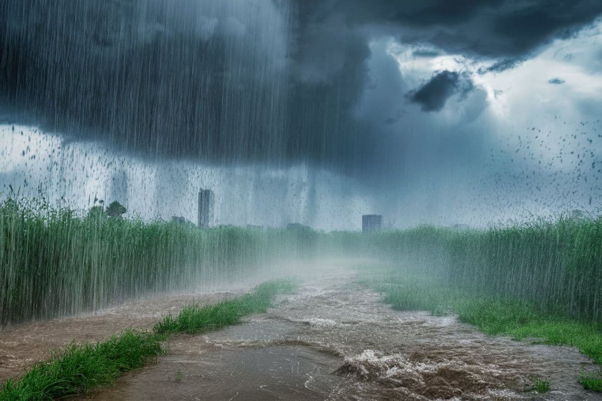 Weather Update: दिल्ली राजस्थान यूपी में भारी बारिश का अलर्ट जारी, उत्तराखंड-हिमाचल में भूस्खलन की चेतावनी