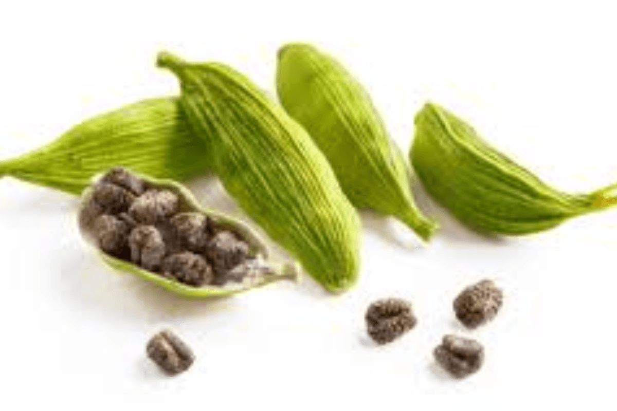 Health Benefits: इलायची, आपके स्वास्थ्य के लिए एक चमत्कारी मसाला