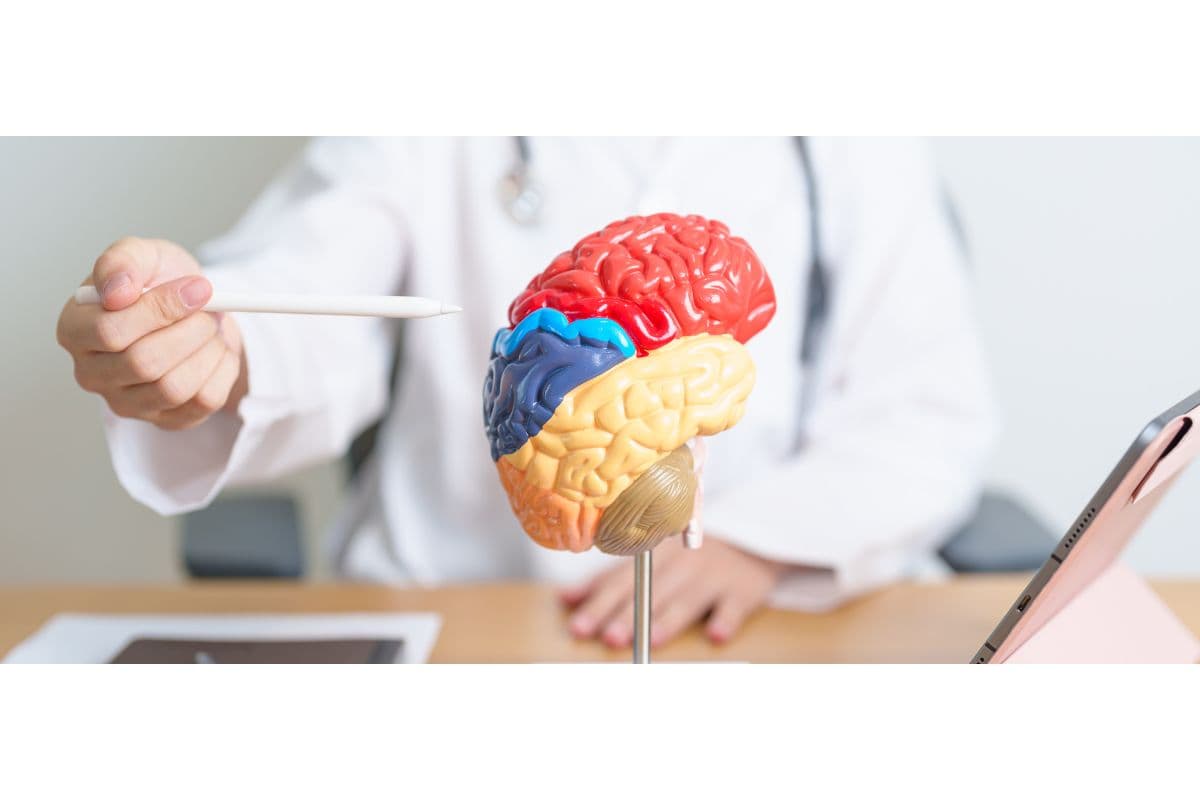 Brain health: दिमागी थकान से बचने के उपाय