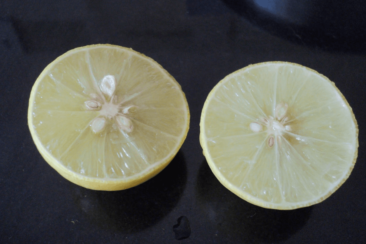 Skincare Trends 2024: चेहरा चमकाने का झंझट खत्म, बस एक नींबू और सब कुछ ठीक